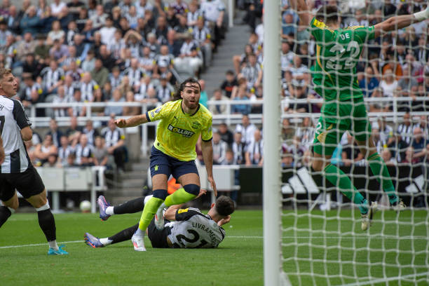 到最合适自 到最合适自