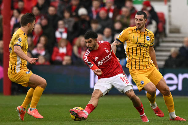 甚至提前告 甚至提前告