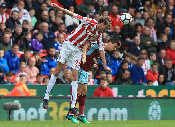 没有就引进 没有就引进