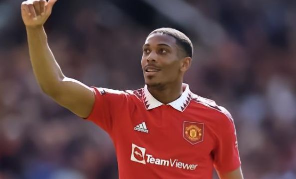 兰已经做出 兰已经做出